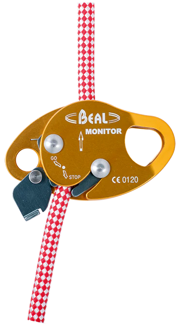 BMFAM_MONITOR_2_LD.webp