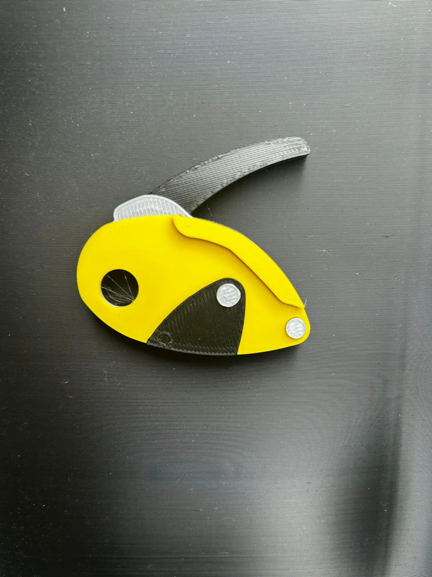 Grillon / Grigri